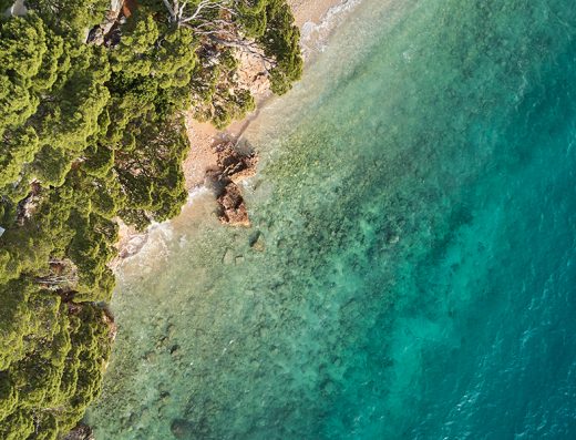 Aerijalni pogled na obalu u blizini Bluesun hotel Soline sa borovom šumom, stenovitom plažom i kristalno čistim tirkiznim morem