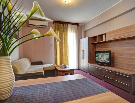 Dnevni boravak apartmana u Solaris Resort sa kaučem, TV-om, drvenim nameštajem i dekorativnom vazom sa cvećem